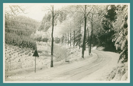 Cp Photo - NOZEROY - Route De Champagnole - Hiver 1939 - Neige - Sonstige Gemeinden