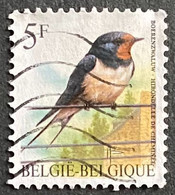 BEL2475U1 - Birds - Chimney Swallow - 5 F Used Stamp - Belgium - 1992 - 1985-.. Oiseaux (Buzin)