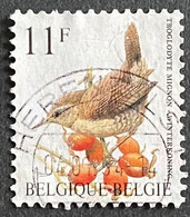 BEL2449U2 - Birds - Cute Wren - 11 F Used Stamp - Belgium - 1992 - 1985-.. Oiseaux (Buzin)