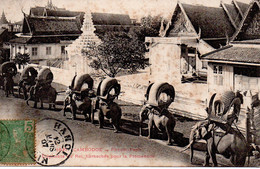 Cpa Cambodge Phnom Penh Eléphants Du Roi - Cambodge