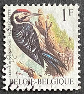 BEL2349U1 - Birds - Spotted Woodpecker - 1 F Used Stamp - Belgium - 1990 - 1985-.. Oiseaux (Buzin)