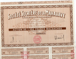 SOCIETE SUCRIERE DE LA MAHAVAVY-  DOMAINE DE L'ANKARATRA - S.A..MALGACHE- ACTION DE 1350 FRS - - Africa