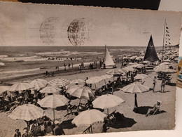 Cartolina Viareggio Spiaggia Vellutata Anni 50 - Viareggio