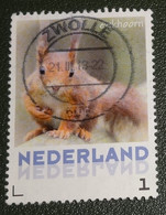 Nederland - NVPH - 3013-Aa-11 - Zoogdieren - 2013 - Persoonlijke Gebruikt - Eekhoorn - Personalisierte Briefmarken