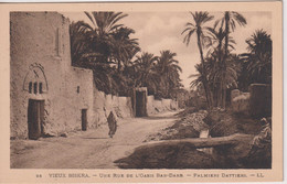 ALGERIA - View BISKRA -Une Rue De L'Oasis BAb-Dare - Palmiers Dattiers By LL - Biskra