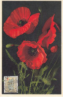 Belgium 1950 - The Struggle Against Tuberculosis: Flowering Plants: Corn-poppy - Maximum Card 22.4.1950 - 1934-1951