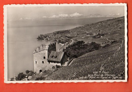 ZQD-19 Cully Lavaux Et Tour De Marsens  Vus De L'Hotel Du Signal De Chexbres . Cachet Chexbres 1945 . Visa ACF 1939 - Chexbres