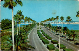 Florida Clearwater Beach Memorial Causeway Looking West - Clearwater