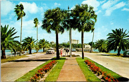 Florida Clearwater Beach Memorial Causeway Looking East - Clearwater