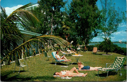 Florida South Clearwater Beach Ann Esther Apartments View From Lawn - Clearwater