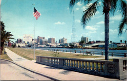 Florida Tampa Tony Jamis Park Viewed From Bayshore Drive 1958 - Tampa