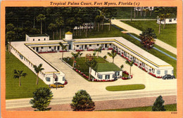 Florida Fort Myers Tropical Palm Court - Fort Myers