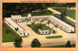 Florida Fort Myers Tropical Palm Court 1956 - Fort Myers