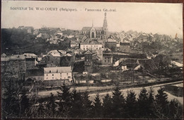 Cpa, Souvenir De Walcourt, Panorama Général, (éd Sylvain Lagouge, Photographe à Thuin), BELGIQUE, Non écrite - Cerfontaine