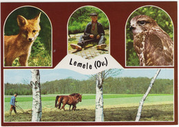 Lemele (Ov.) - Jonge Vos, Sperwer, Boer, Paarden Ploeg - (Nederland / Holland) - Nr. L 6776 - Ommen