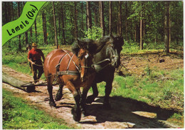 Lemele (Ov.) - Bomenslepen, Paarden, Zandpad - (Nederland / Holland) - Nr. L 3469 - Ommen