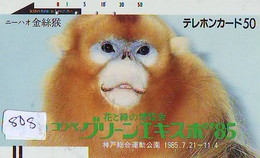 Télécarte Japon * FRONT BAR 110-628 *  AAP  (808) MONKEY * SINGE * AFFE * SCIMMIA * PHONECARD JAPAN * TELEFONKARTE - Jungle