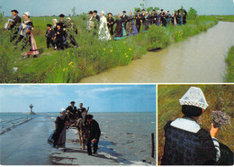 85 - Beauvoir Sur Mer - Folklore Vendéen Groupe Maraîchin - Multivues - Beauvoir Sur Mer