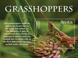 2021/05 - TUVALU - GRASSHOPPERS                    1V      MNH** - Otros