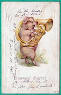 COCHON MUSICIEN - CARTE HUMORISTIQUE GAUFREE - Schweine