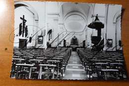 Desselgem. Kerk Sint-Martinus. Interieur - Waregem