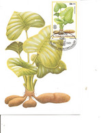 Plantes Médicinales ( CM De Saint-Thomas Et Prince De 1981 à Voir) - Heilpflanzen