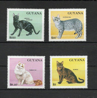 GUYANA - 1992 - Francobolli Tematica Animali - Gatti - 4 Valori - Nuovi ** - (FDC32579) - Guyana (1966-...)