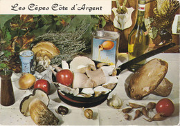 Carte Neuve Champignon Recette - Mushrooms
