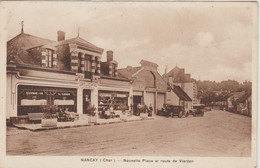 18 NANCAY NOUVELLE PLACE ET ROUTE DE VIERZON - Nançay