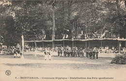 MONTARGIS. - Concours Hippique. Distribution Dex Prix (gentlemen) - Montargis