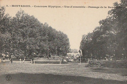 MONTARGIS. - Concours Hippique. - Vue D'ensemble - Passage De La Banquette - Montargis