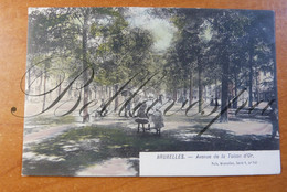 Bruxellles Avenue De La Toison D'Or.  Nels Serie 1, N°141 - Forêts, Parcs, Jardins
