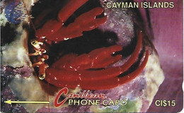 CAYMAN ISLANDS - CRAB - 4CCIB - Iles Cayman