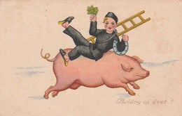 CPA Ramoneur Sur Un Cochon Porc Pig Pig Schwein Varken Maiale  Spazzacamino Schornsteinfeger Chimney Sweep - Cochons