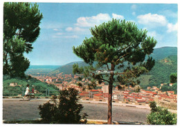 Carrara - Panorama - Carrara