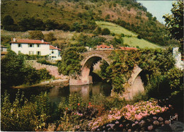 CPM BIDARRAY Le Pont Noblia Sur La Nive (1167990) - Bidarray