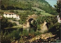 CPM BIDARRAY Le Pont Noblia Sur La Nive (1168229) - Bidarray