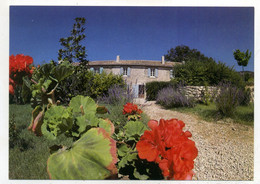 ( CADENET )( 84 VAUCLUSE ) LES BODARIES LOURMARIN - Cadenet