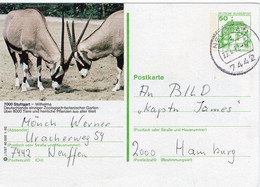 49728 - Bund - 1982 - 50Pfg. B&S Bild-GA-Kte. "Zoo Stuttgart" NEUFFEN -> Hamburg - Andere & Zonder Classificatie