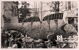 TRES JOLIE CARTE PHOTO  / ENORME POISSON / PERCHE - Carnaval