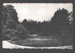 Tongerlo - Norbertijner Abdij - Kloostertuin - Westerlo