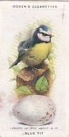 British Birds & Their Eggs 1939  - 43 Blue Tit  - Ogden's  Cigarette Card - Original - Wildlife - Ogden's