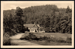 E7229 - Eisenberg Mühltal Froschmühle Gaststätte - Verlag Albert Krebs - Eisenberg