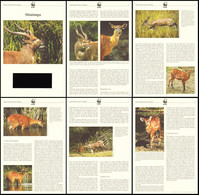 WWF Sitatunga Info Pages Burundi 2004 - Other
