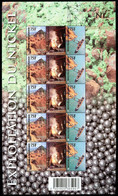 Nouvelle Calédonie - 2010 - Exploitation Du Nickel  5 Triptyques - NEUF - Nos 1107-1108-1109 - Cote 30,00 € - Unused Stamps