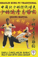 Shaolin Qi Gong Martial - Shaolin DaMo Yi Jin Jing - Deportes