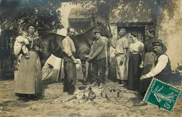 Villy * Carte Photo 1909 * La Ferme DAVION , Le Ferrage D'un Cheval * Maréchal Ferrant * Scène Agricole Agriculture - Autres & Non Classés