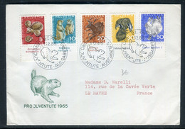 Suisse - Enveloppe FDC En 1965 - Pro Juventute - Animaux - Ref N 55 - FDC