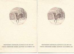 Stamp Exhibition - Briefmarken Ausstellung : Böhmen Und Mähren. Slatinian 1941. B-254 - Exposiciones Filatélicas