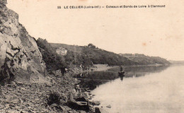 Le Cellier Animée Coteaux Et Bords De Loire à Clermont - Le Cellier